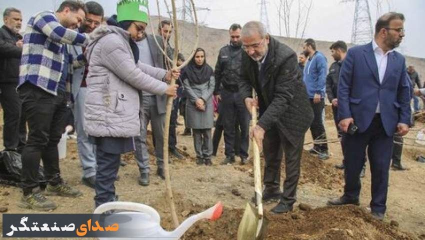 تعداد ۶۲ هزار اصله نهال بین شهروندان توزیع می‌شود